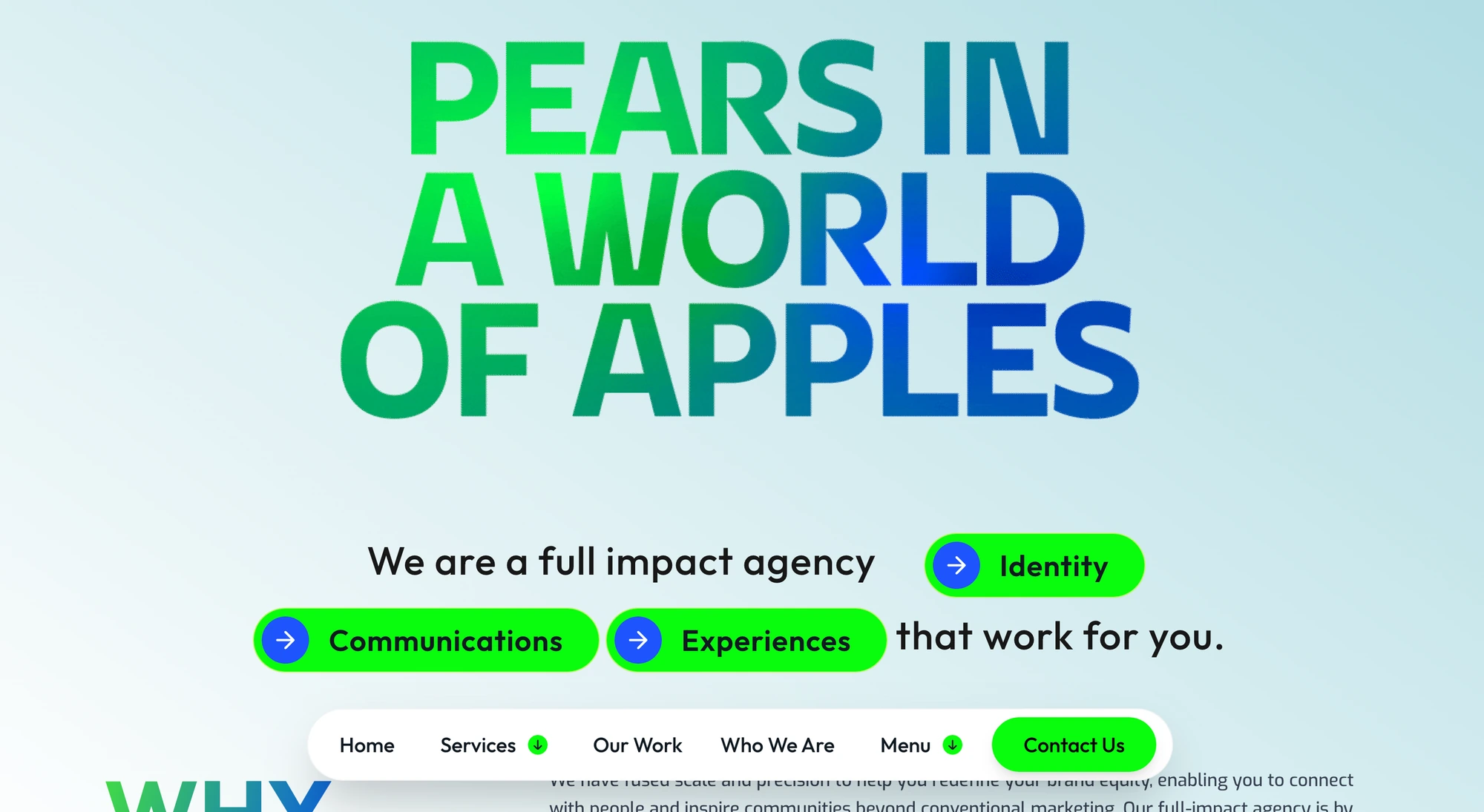 LPS Brands website preview